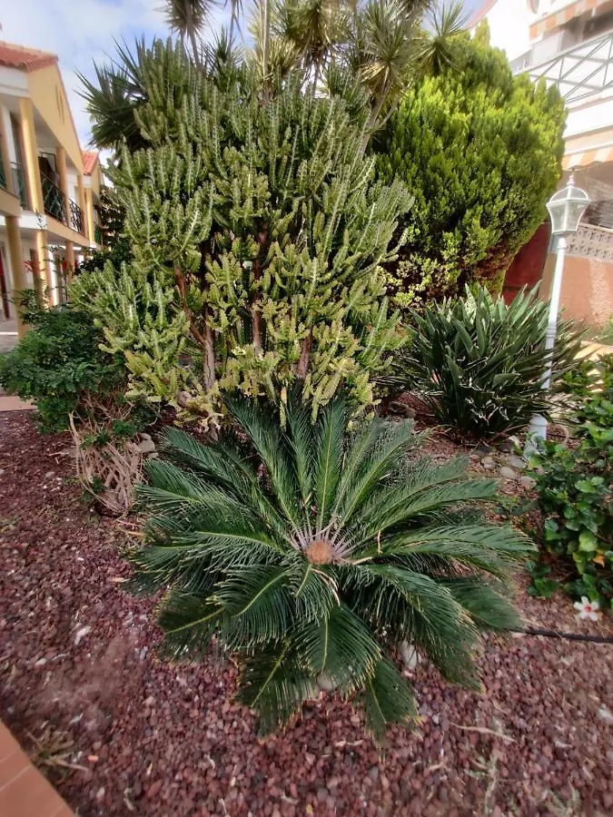 פלאייה דה לאס אמריקס Apartment Soleil Altamar 0*, פלאייה דה לאס אמריקס
