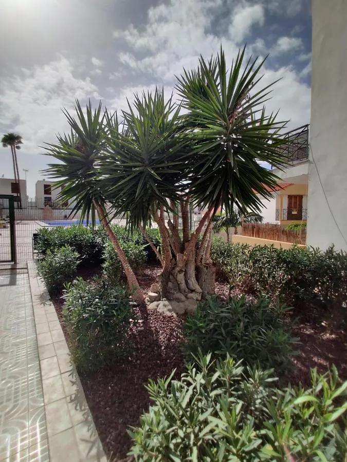 פלאייה דה לאס אמריקס Apartment Soleil Altamar